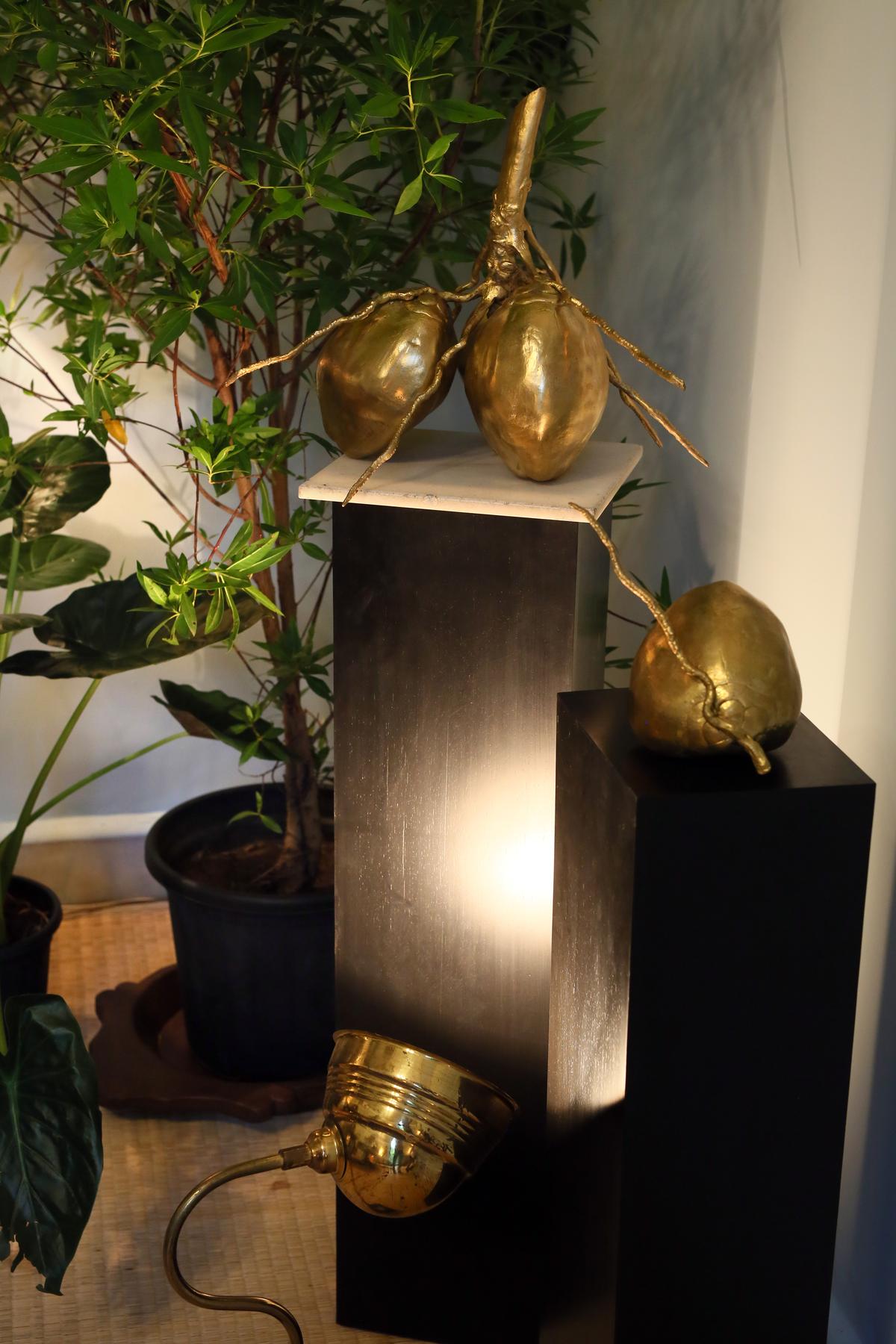 Coconuts cast in brass