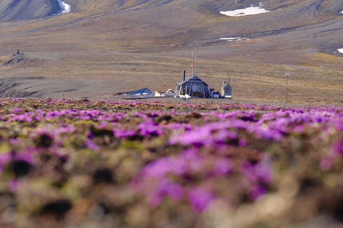Longyearbyen in springtime.