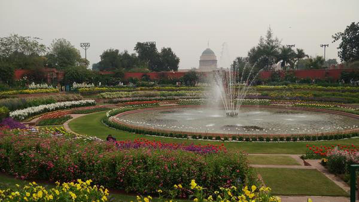 What’s blooming at the Mughal Gardens? - The Hindu