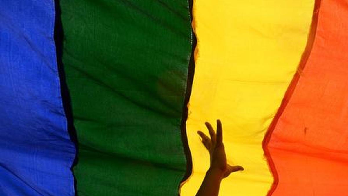 Books with LGBT+ themes are 'most challenged' in U.S. - The Hindu