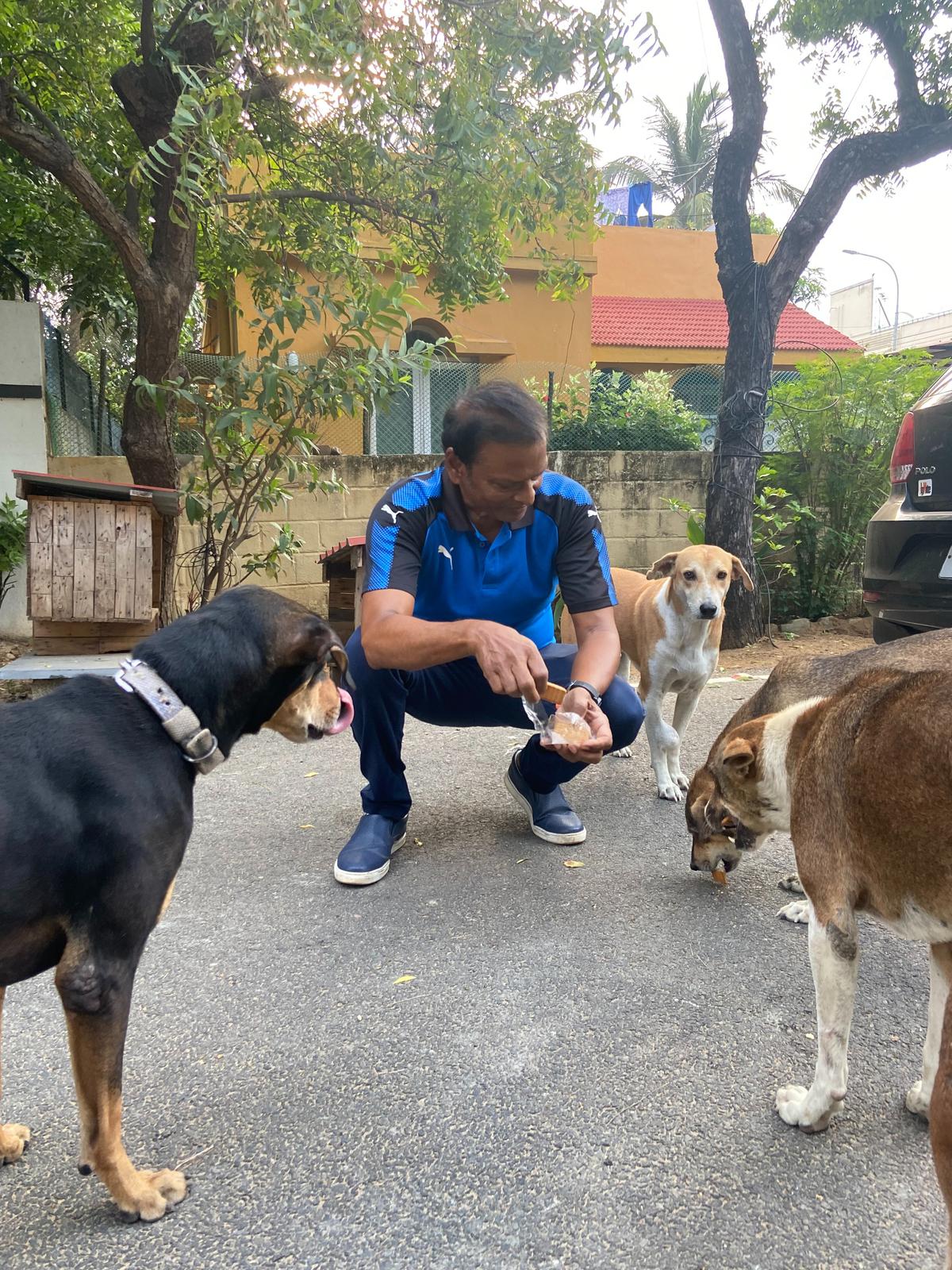 VP Balasubramanian feeding stray dogs