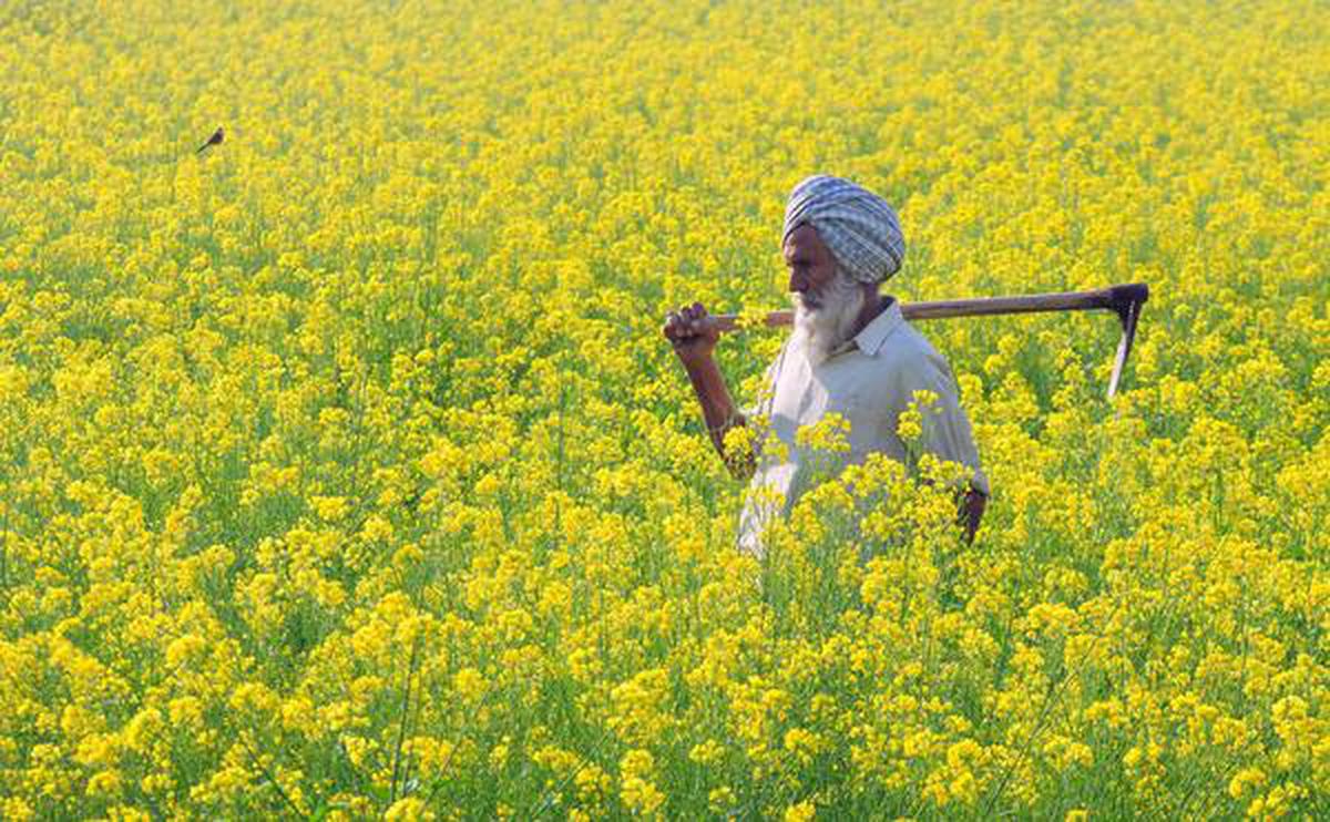 all about basant panchami