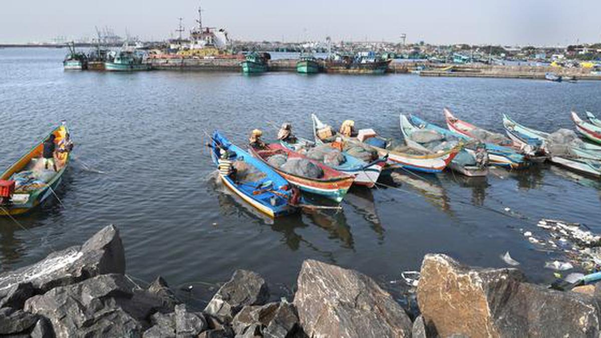 N4 Beach in Kasimedu: a safe harbour | Latest News | The Hindu