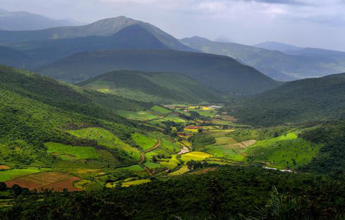 Deomali, the highest peak of Odisha, has become a hot weekend destination -  The Hindu