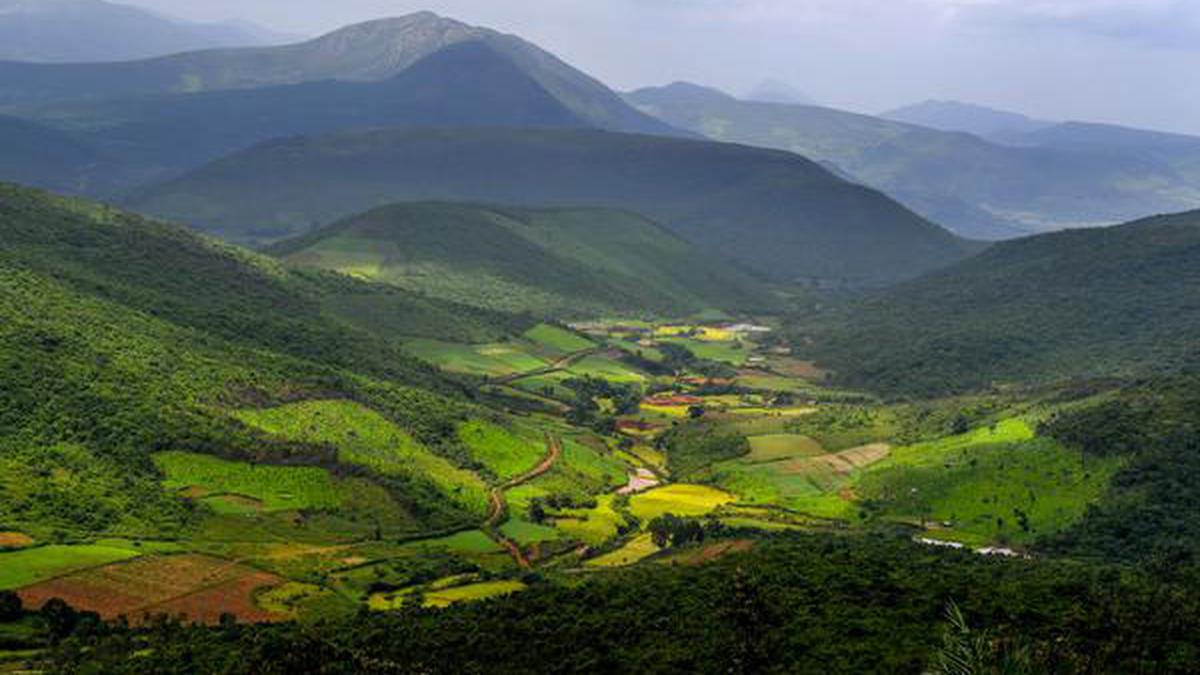 Picture of Deomali
