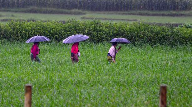 Monsoon bodes well for price rise: govt.