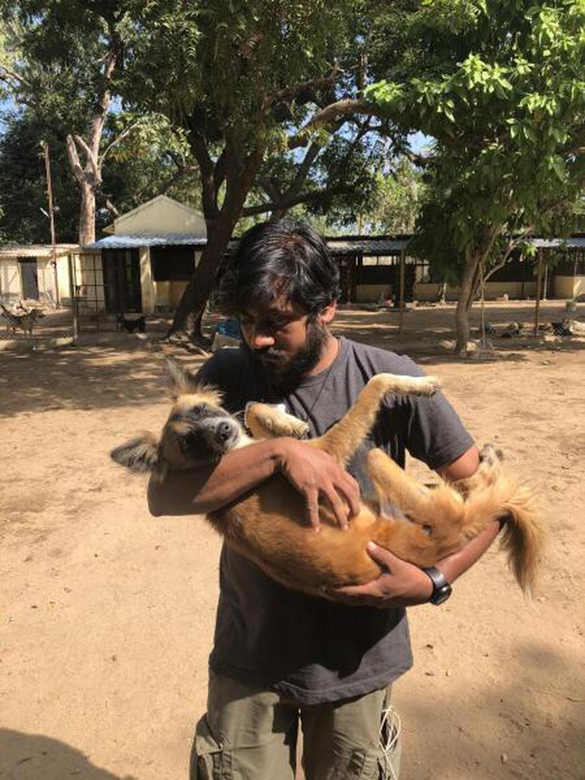 You have seen The Elephant Whisperers, now meet Chennais unsung animal  activists - The Hindu