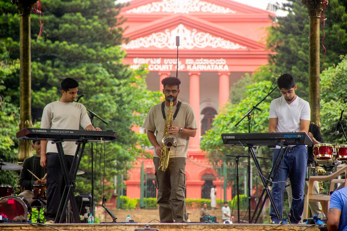 डेरेक और बिल्लियाँ क्यूबन पार्क में प्रदर्शन करती हैं डेरेक और बिल्लियाँ क्यूबन पार्क में प्रदर्शन करती हैं