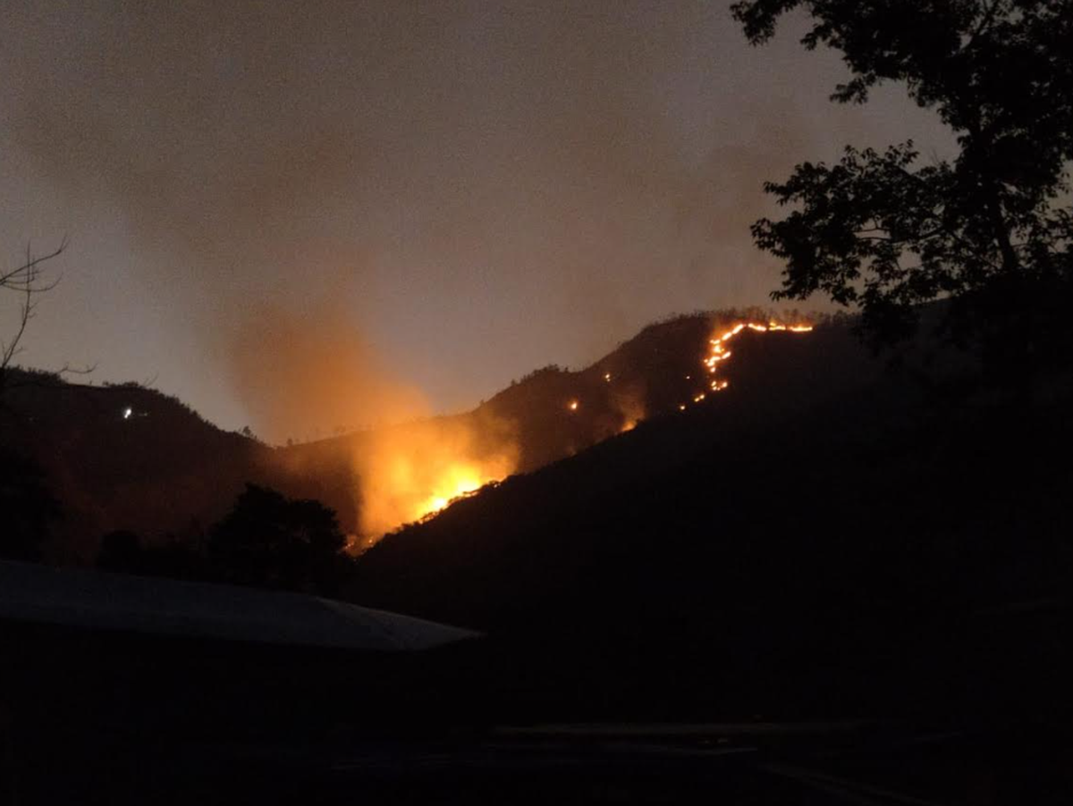 thehindu.com - Simrit Malhi - What fighting a forest fire near my farm taught me about community