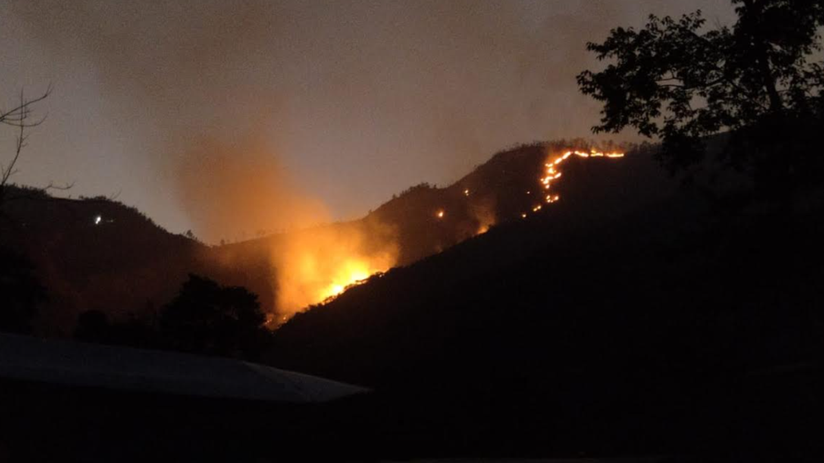 What fighting a forest fire near my farm taught me about community