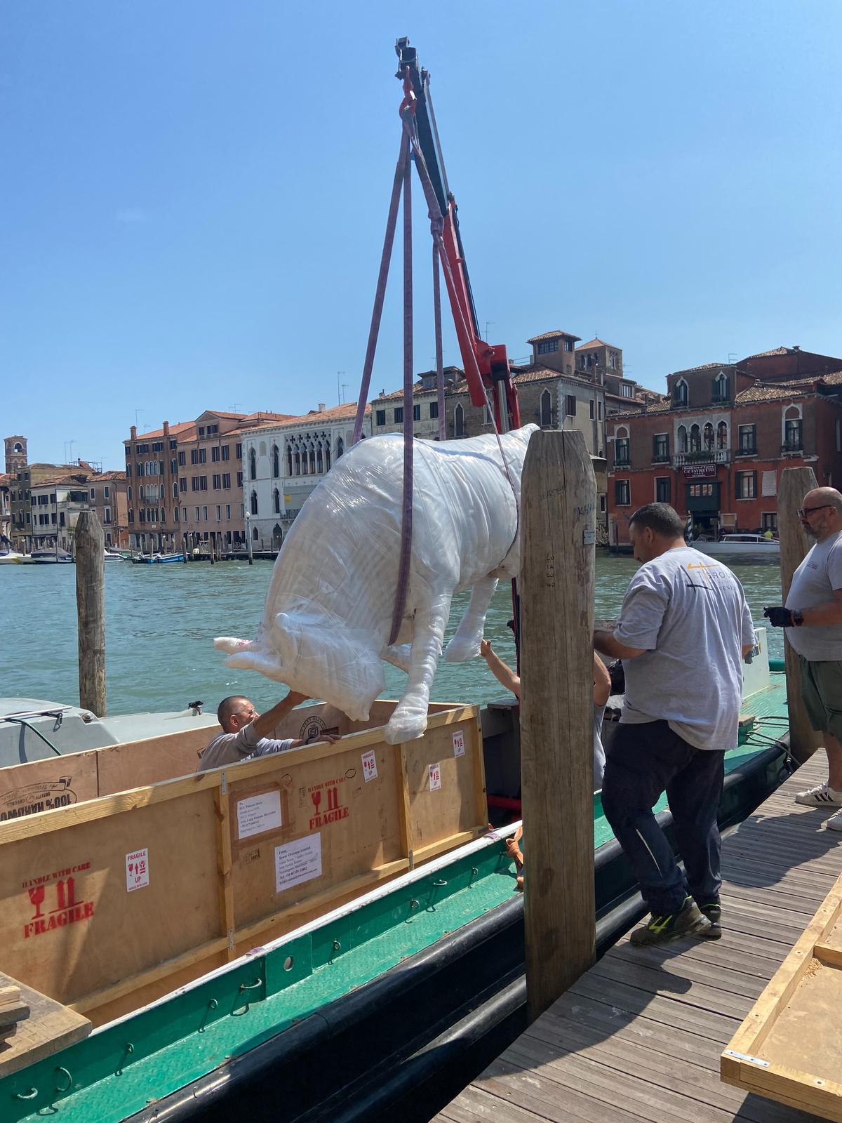 The bull arriving in Venice