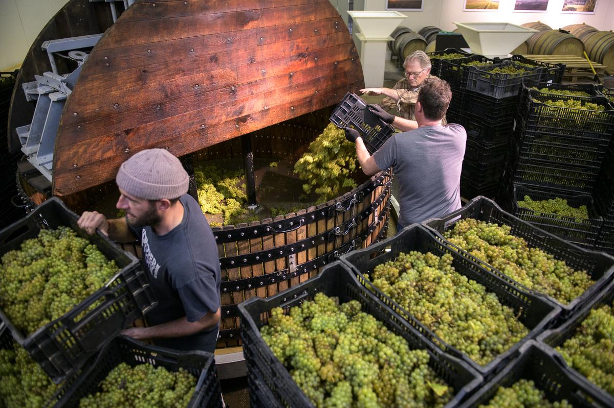 thehindu.com - Ruma Singh - 'Tis the season to uncork a sparkling English wine