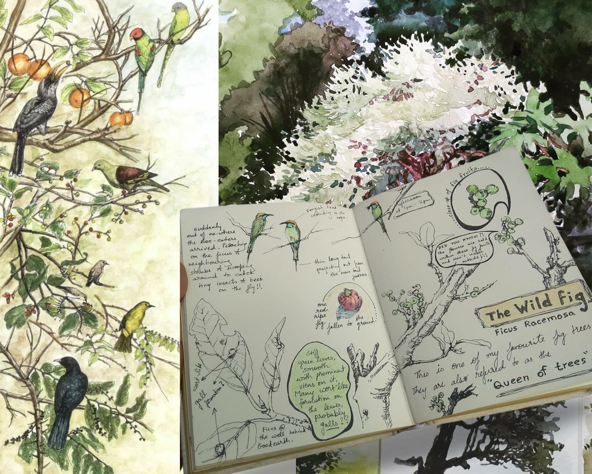 Trees, wildlife and some nature journaling