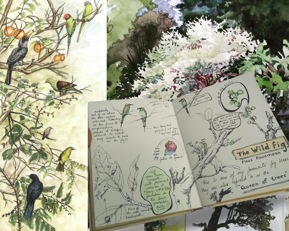 Trees, Wildlife and Some Nature Journaling