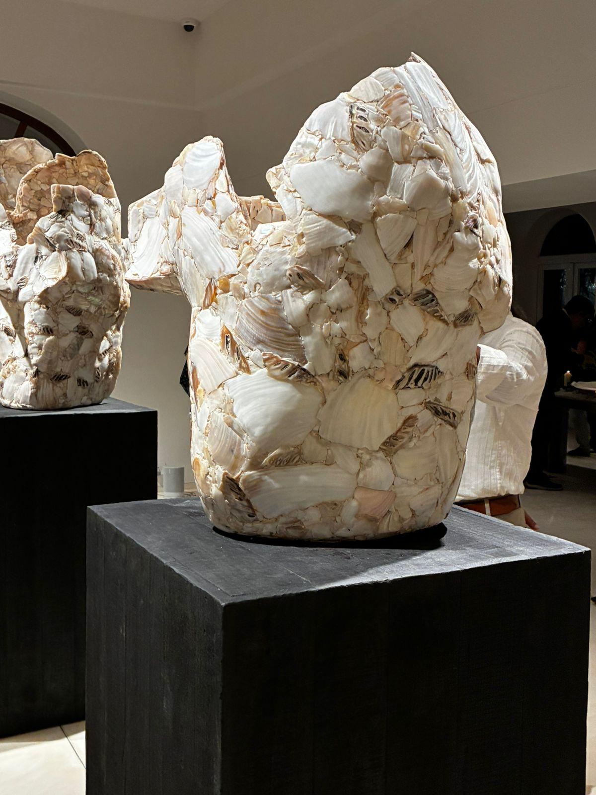 Inderjeet Sandhu at Aequo Inderjeet Sandhu at Aequo