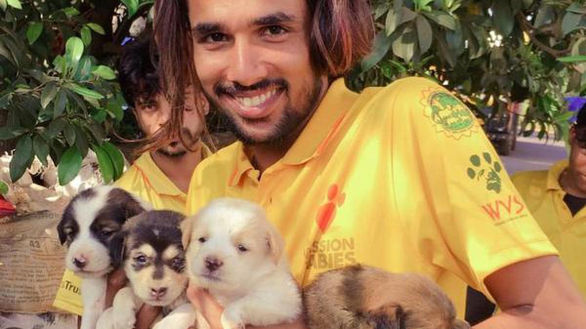 Kochi gets a new animal rescue centre The Hindu