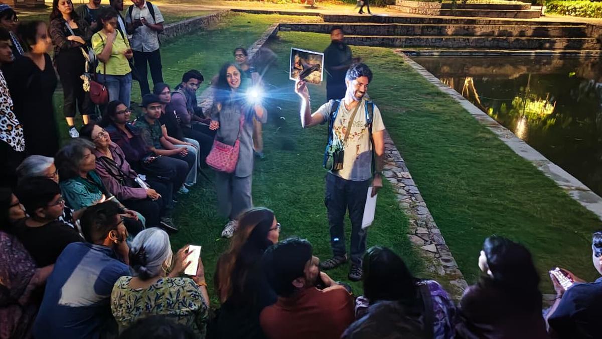 A new field guide spotlights Delhi’s marvellous bat diversity