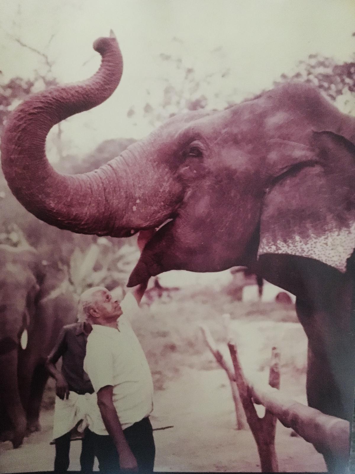 The men who shaped Murthy, the elephant at Mudumalai that recently died ...