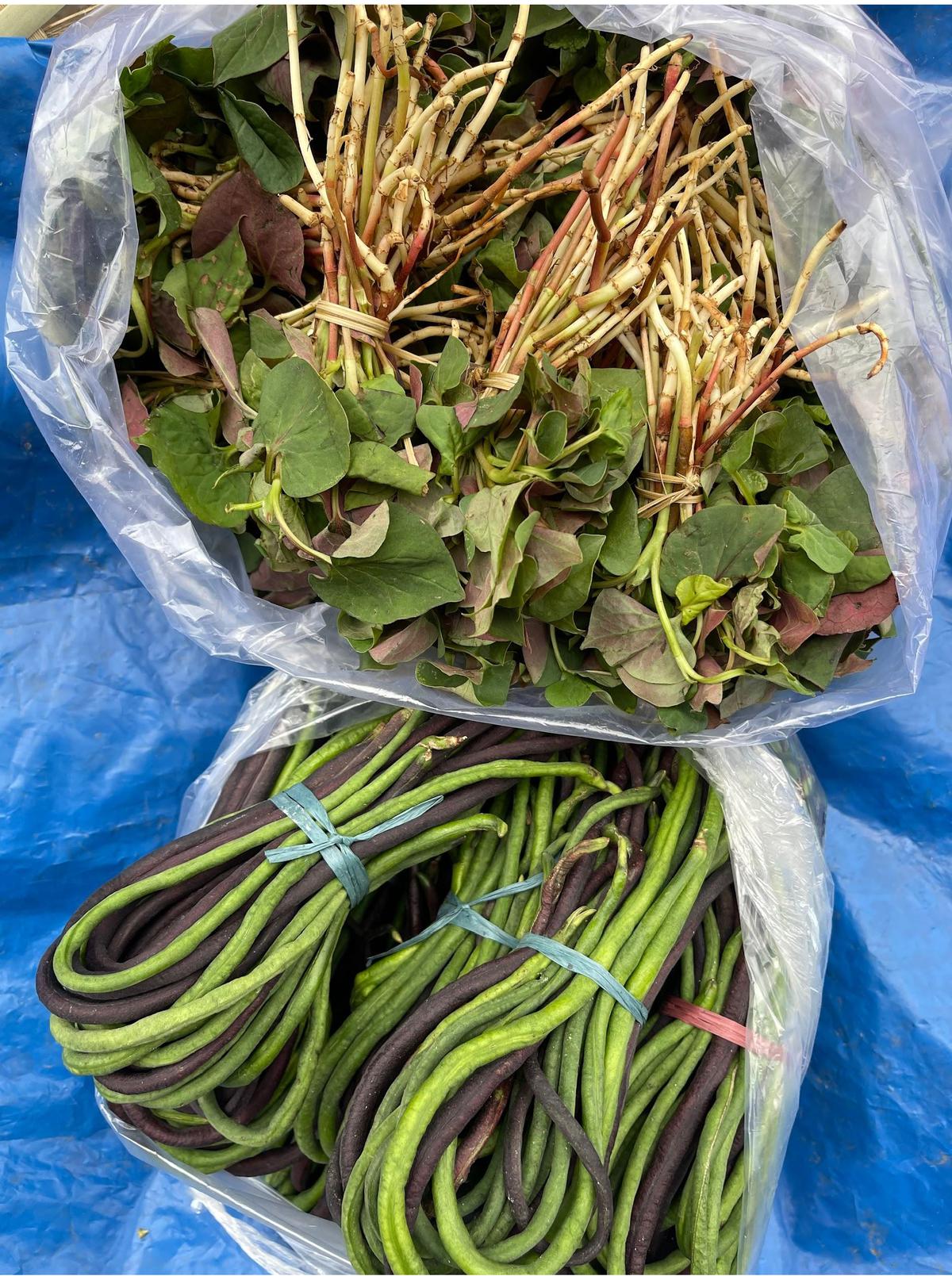 Fish mint, with its distinct fishy flavour, is a popular herb in Khasi cooking.  The roots and leaves are used raw in salads, often paired with tomatoes and chillies.