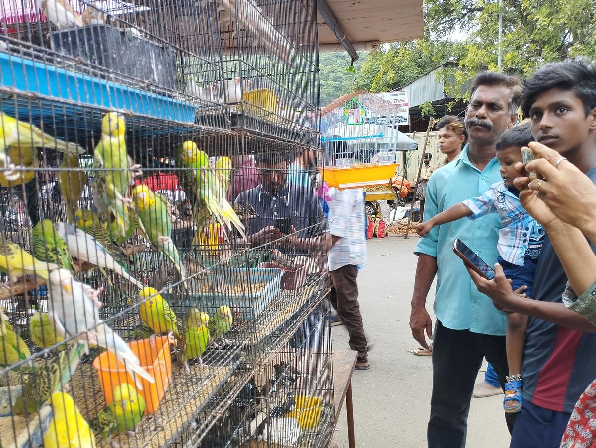 Shoppers at Pallavaram Friday market Shoppers at Pallavaram Friday market
