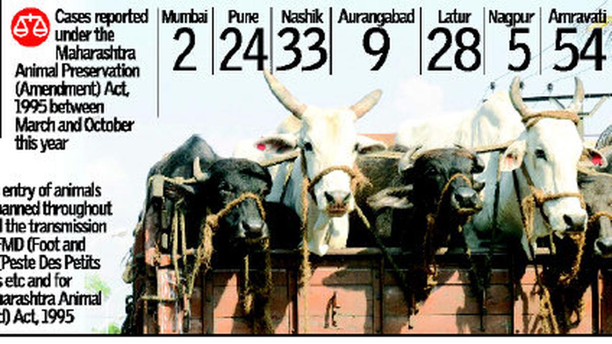 HC hears beef ban challenges - The Hindu