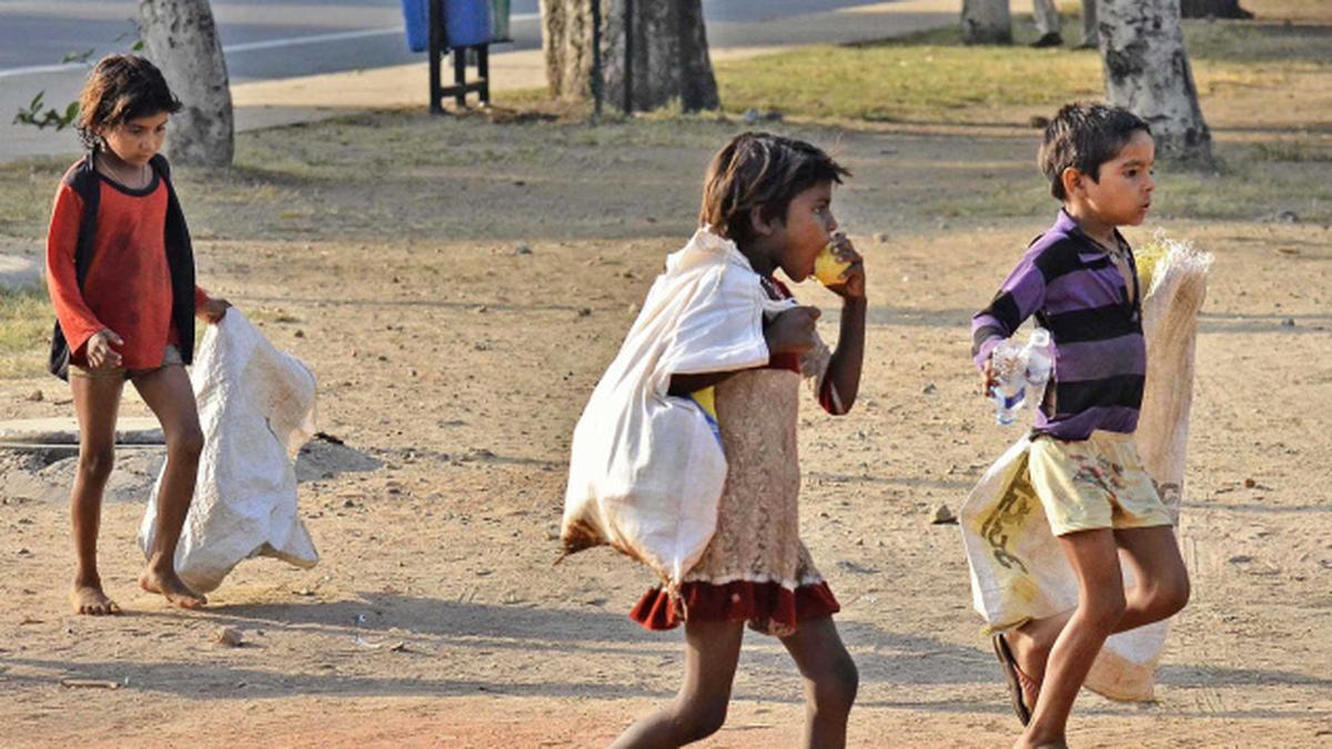 More number of child labourers turning into ragpickers survey The Hindu