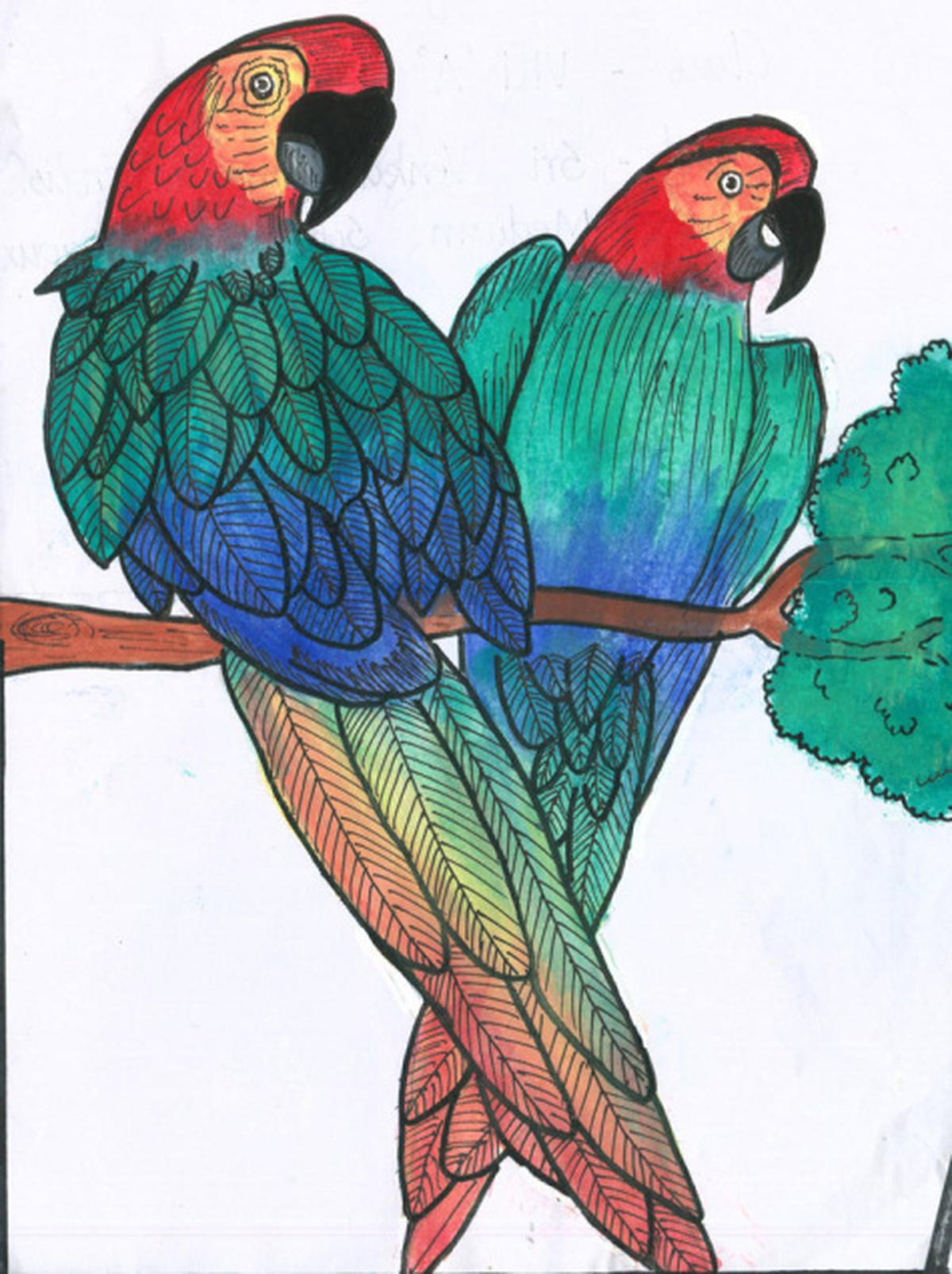 Drawings from India - The Hindu