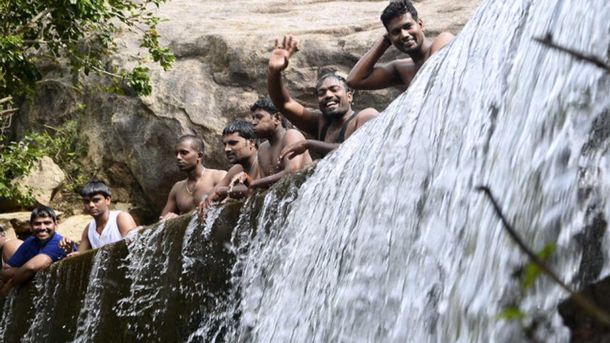 Falls comes alive after 15 years The Hindu