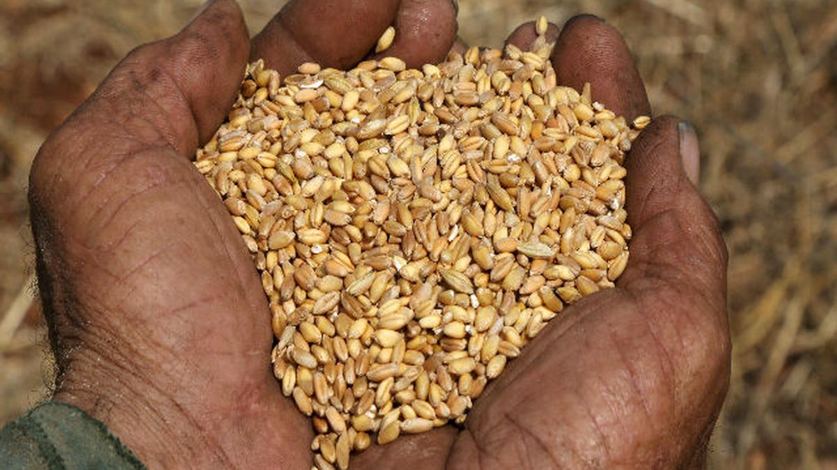 Floor price for rabi crops hiked