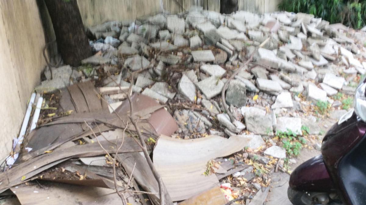 Library in Shenoy Nagar has new visitors who nibble away at books The