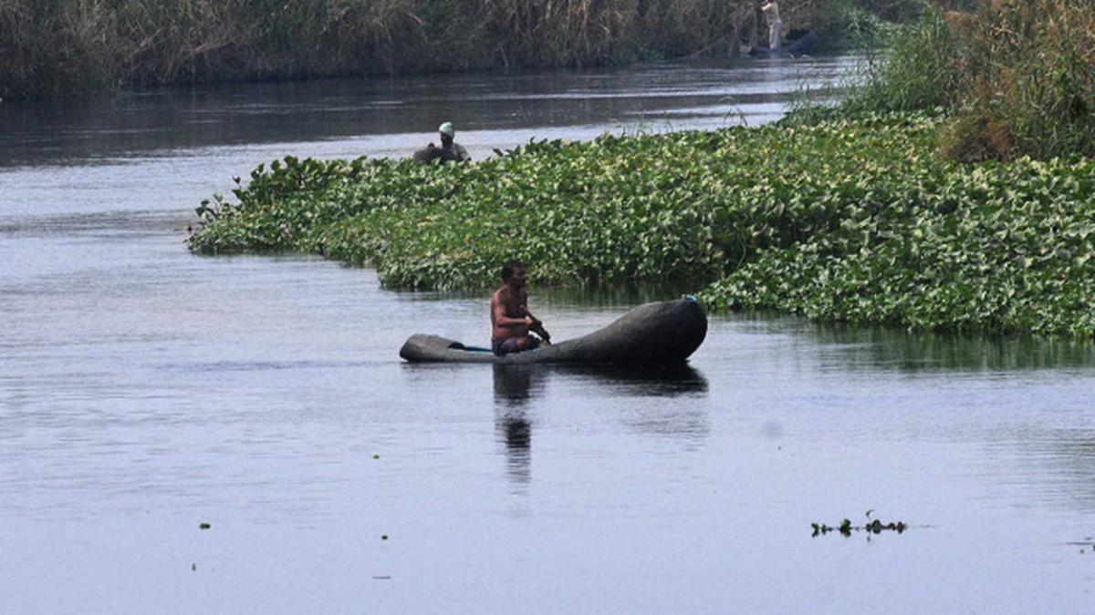 NGT restrains Andhra Pradesh Government from undertaking six infra projects in Kolleru wetland 