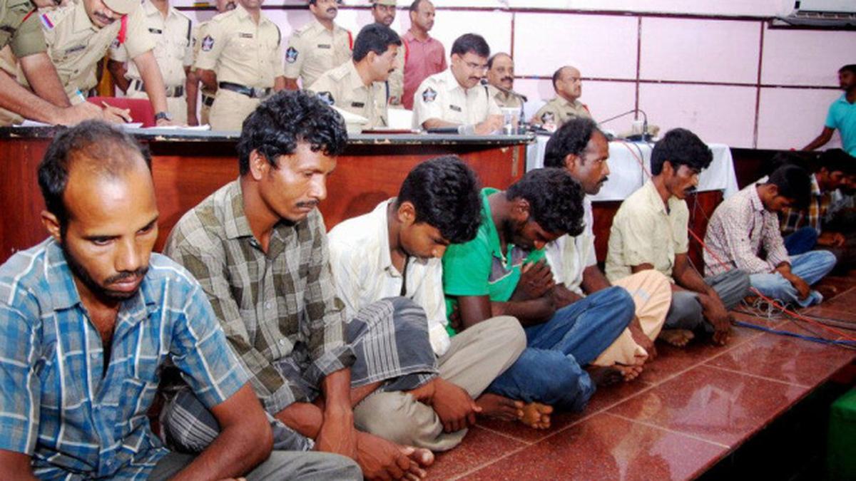 13 Tamil Nadu red sanders cutters nabbed in Nellore The Hindu