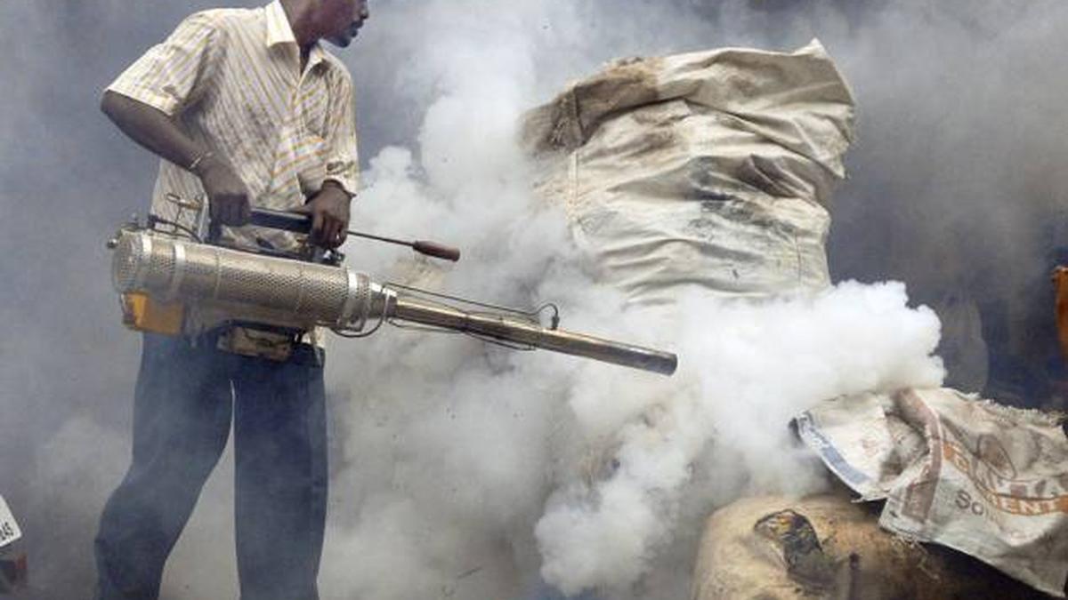 Beating dengue a primer The Hindu