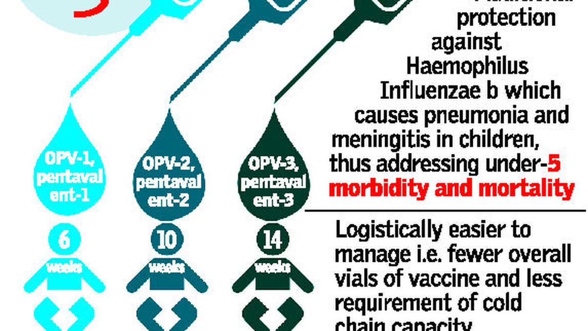 Pentavalent Vaccine To Be Rolled Out This Month - The Hindu