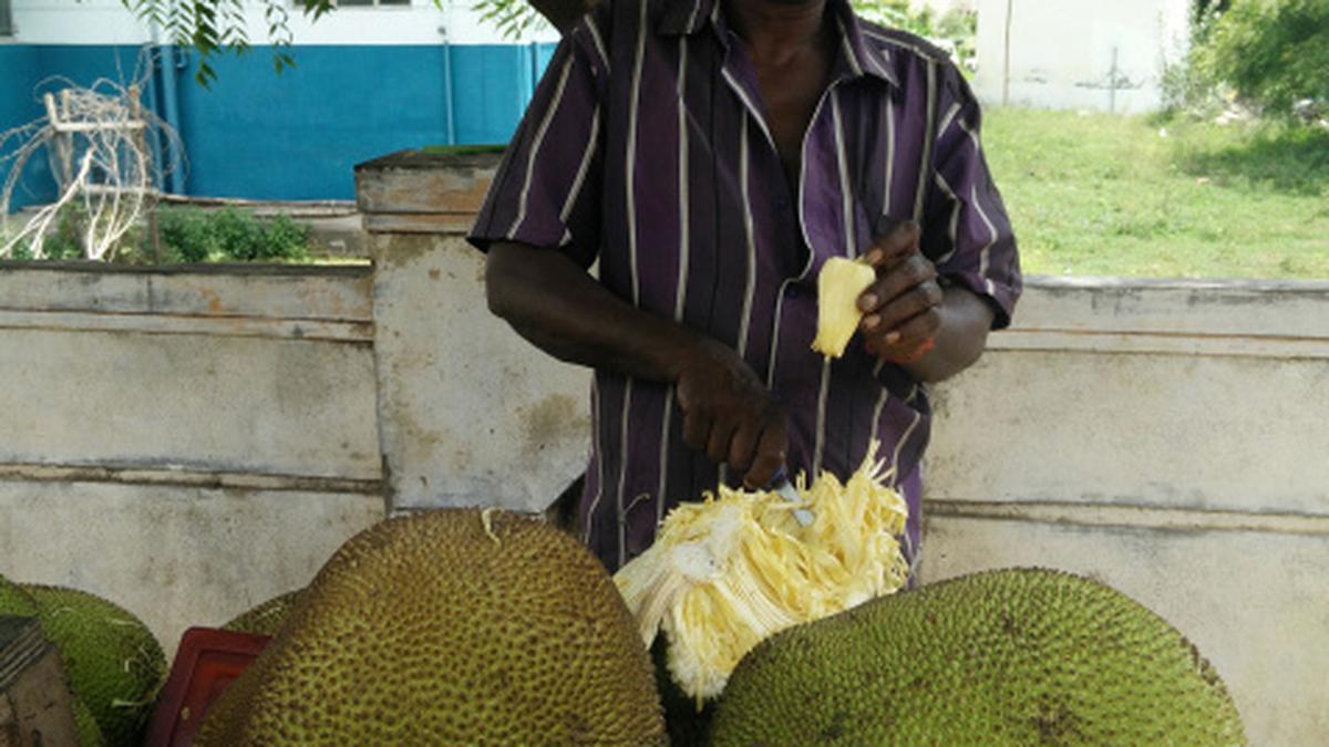 I am: Raju, Jackfruit vendor - The Hindu