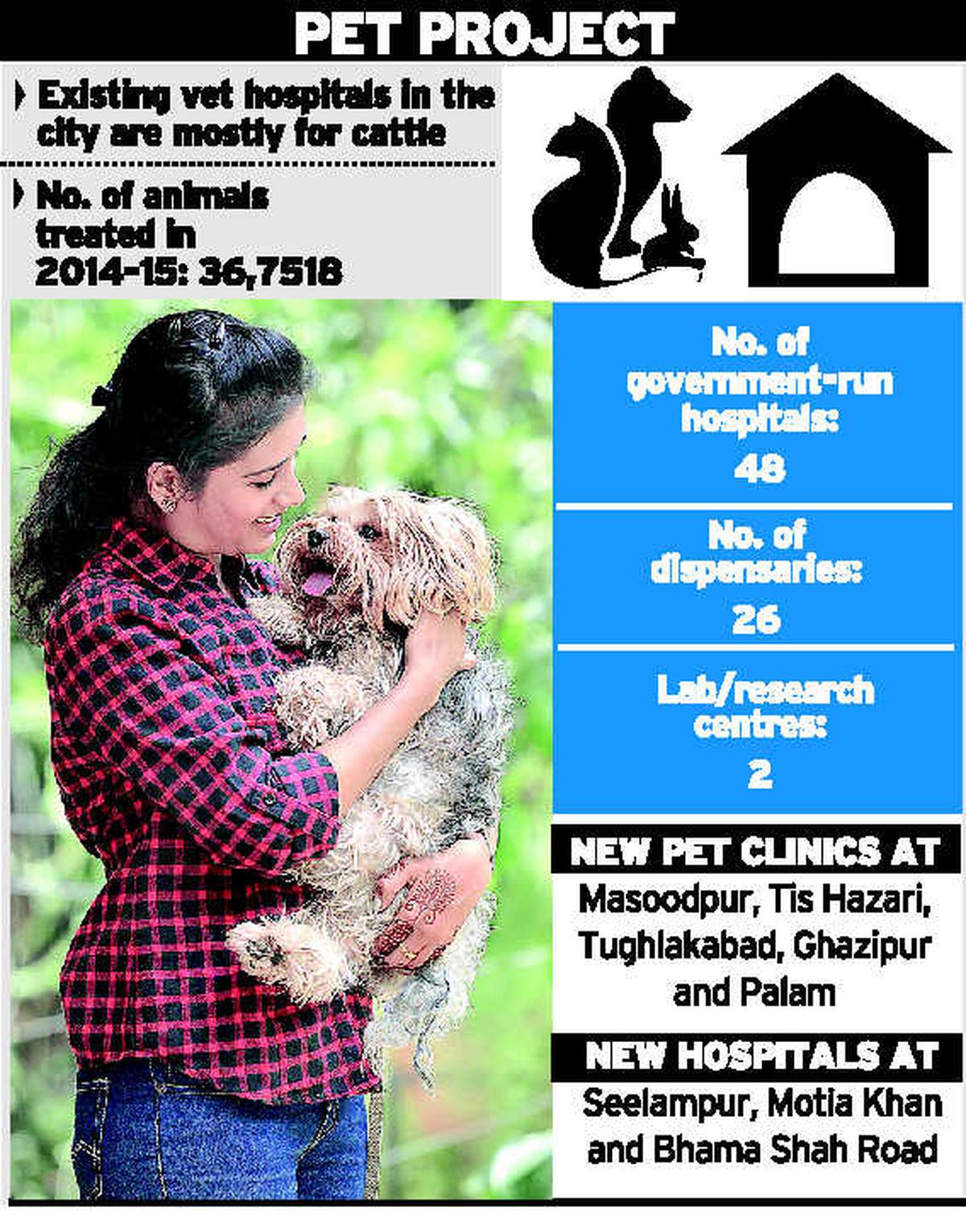 City gets more pet friendly - The Hindu City gets more pet friendly - The Hindu