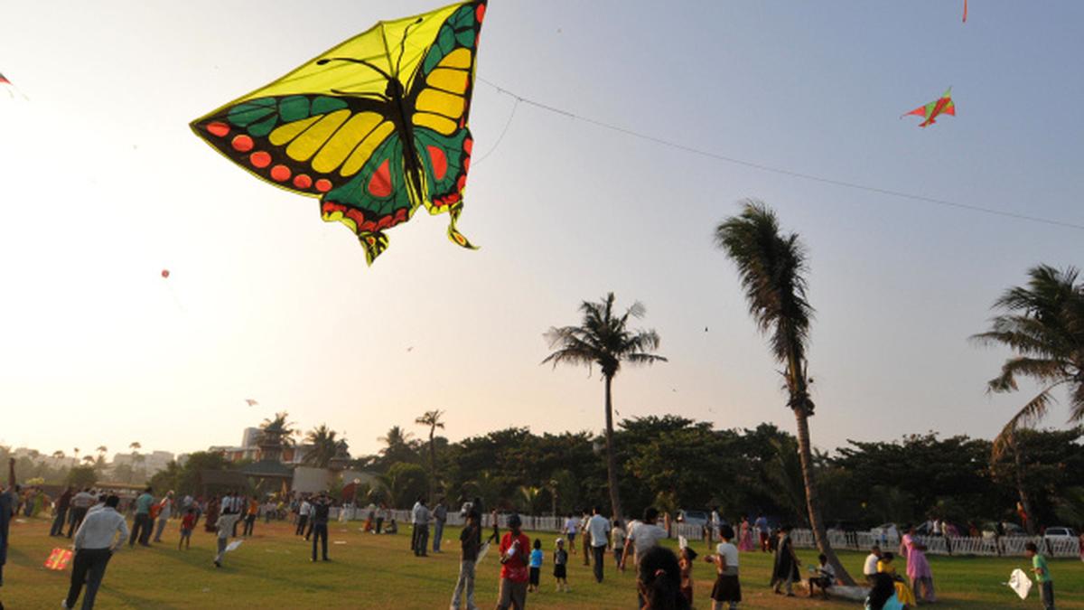 Go fly a kite The Hindu