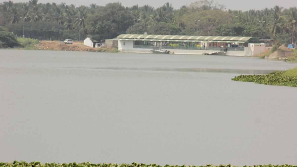 Singanallur Lake: Making waves