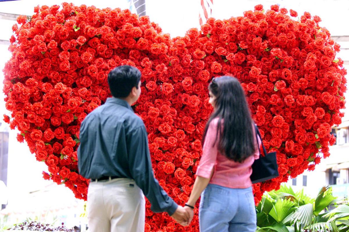 Red Rose Flower at Rs 25/piece, George Town, Chennai