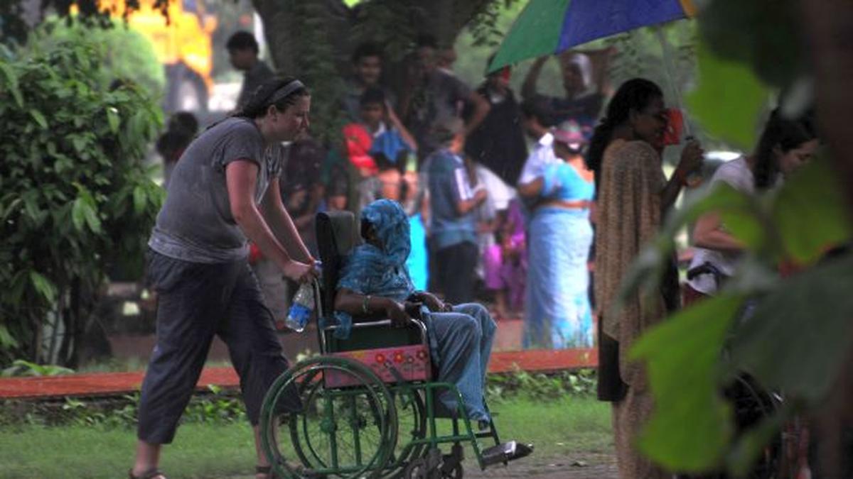 ZSI plans digitisation of specimens The Hindu