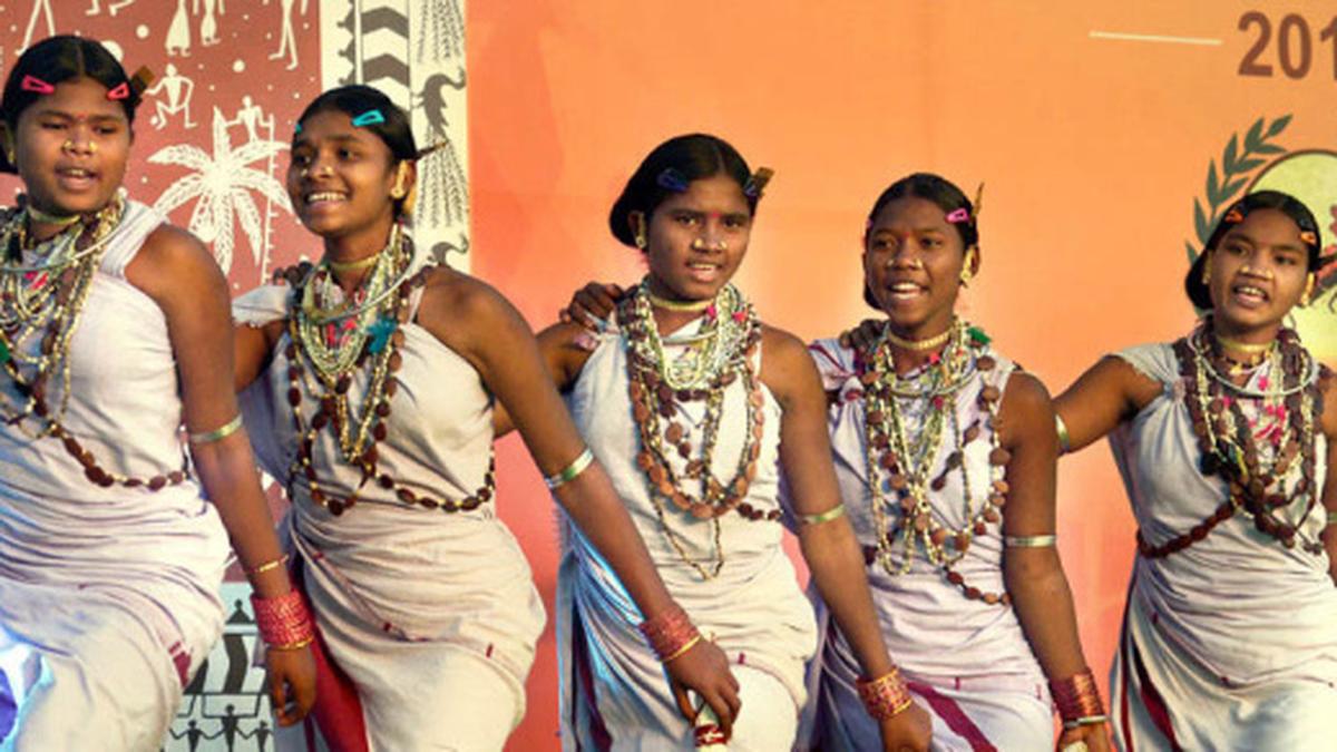 Week-long National Tribal Festival begins - The Hindu