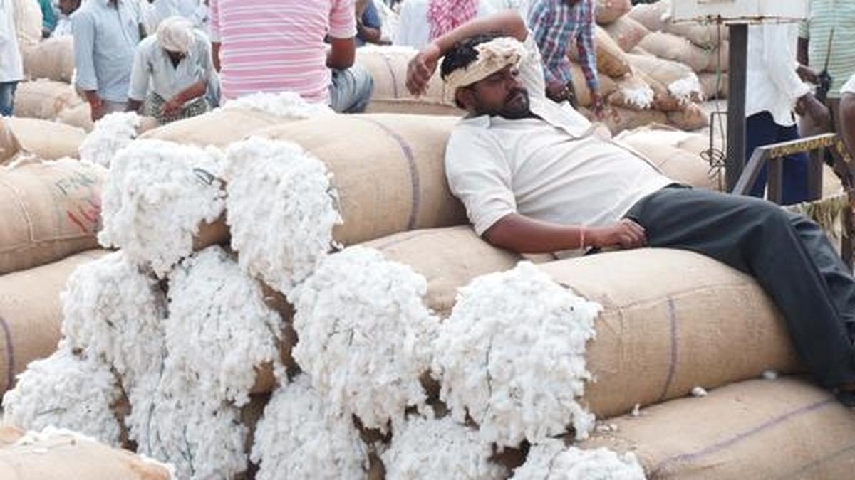 Raw material shortage stares textile mills The Hindu