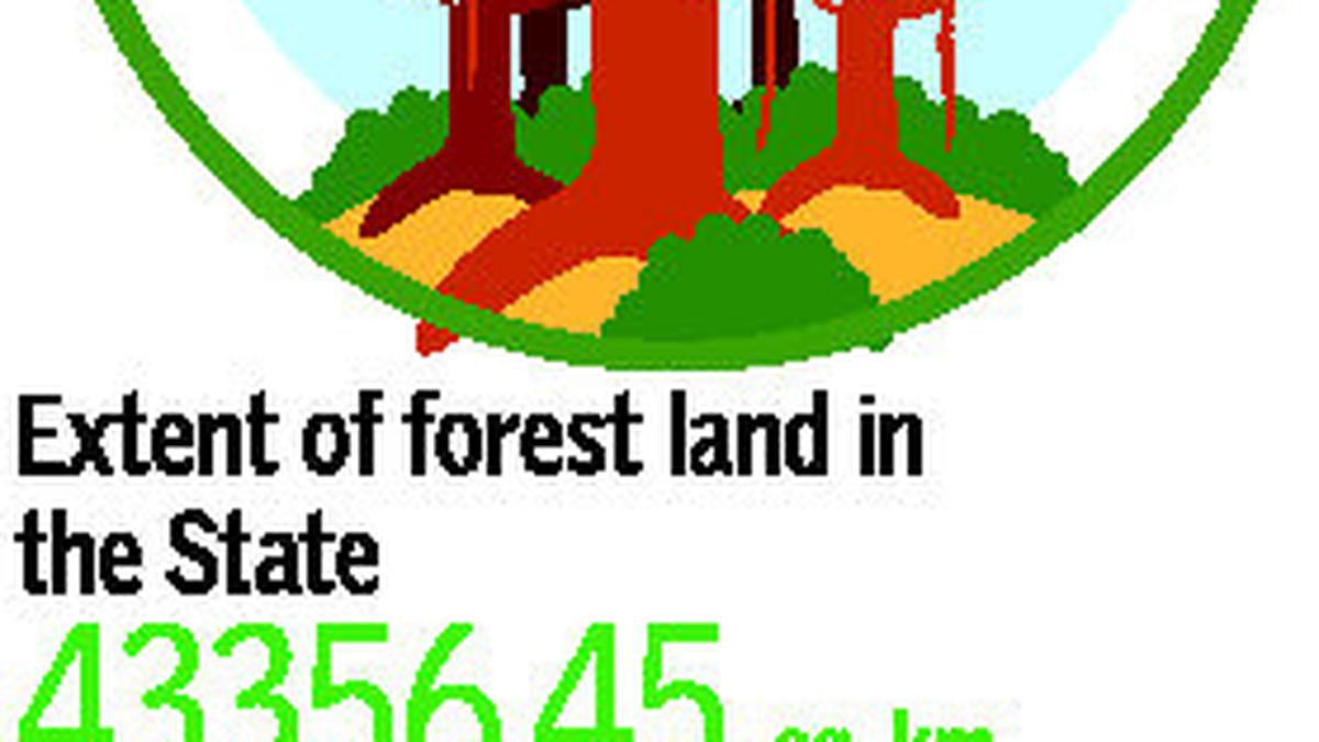 Encroached forest land in Karnataka up to 3 acres to be regularised