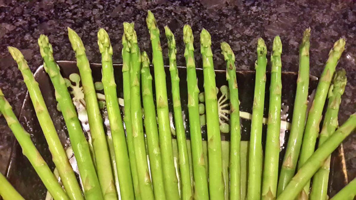 A paper on asparagus The Hindu