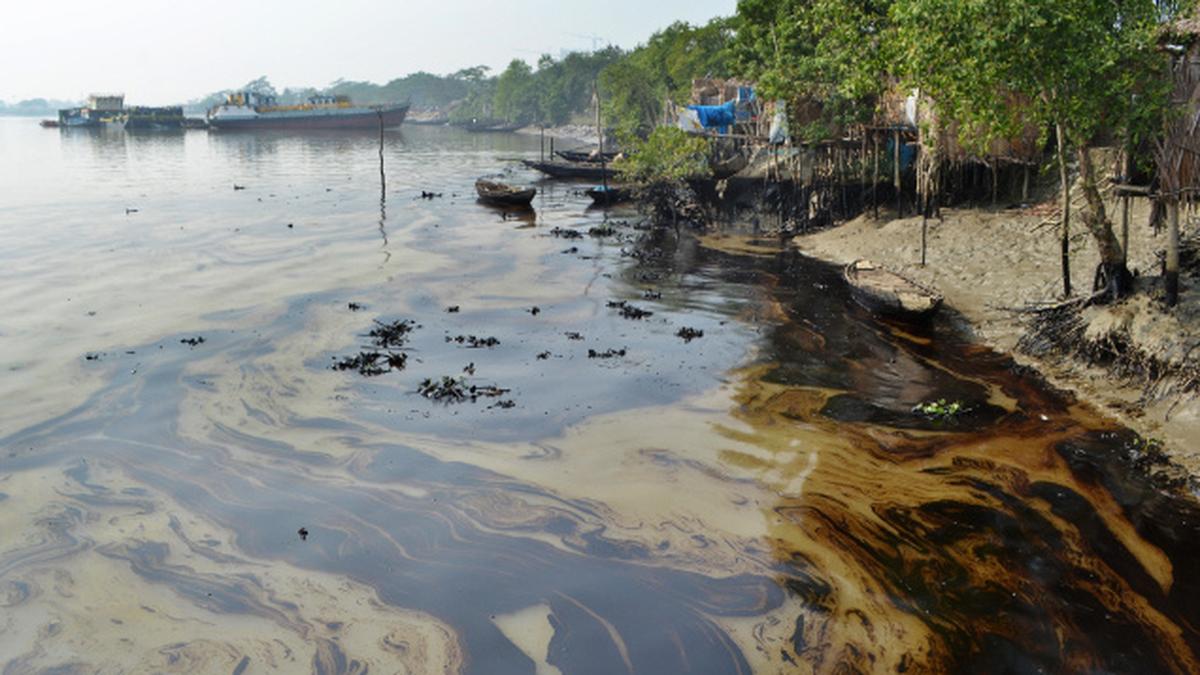 Bangladesh launches campaign to clean up Sunderbans oil spill The Hindu