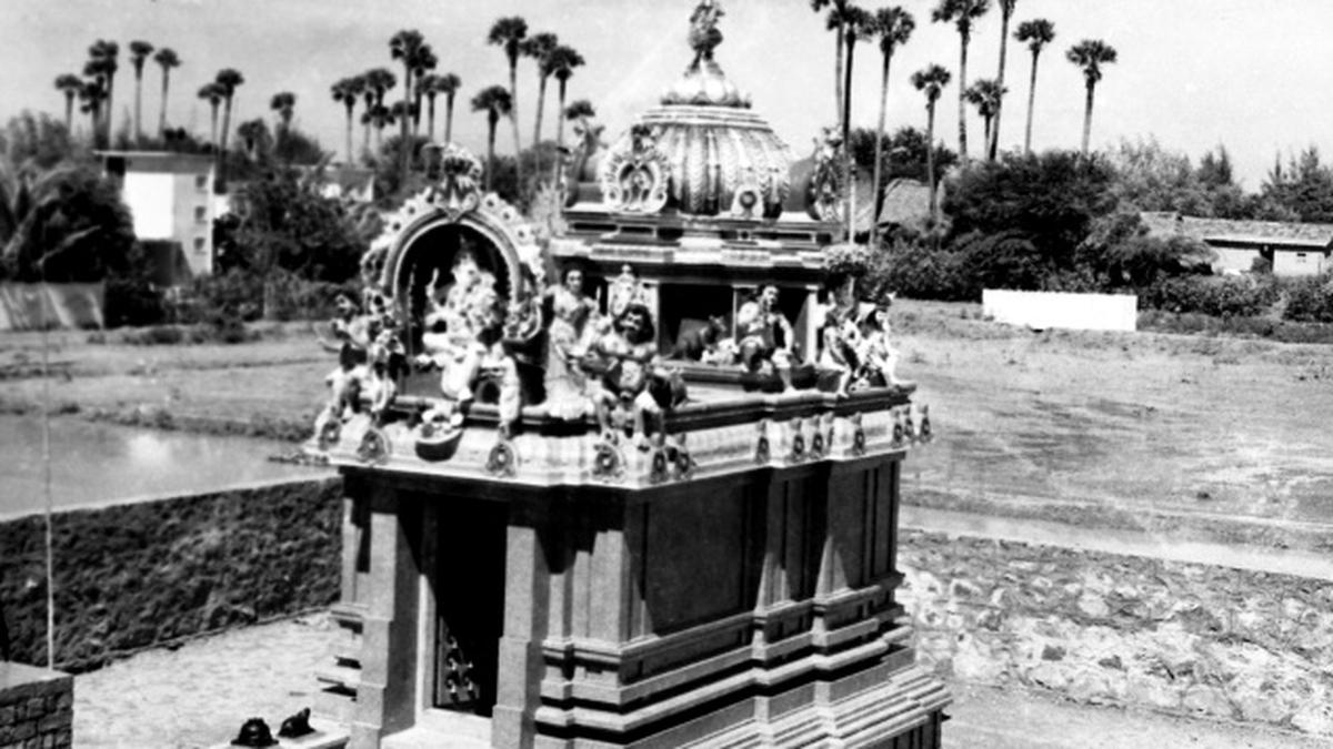 A classic snapshot of Nanganallur The Hindu