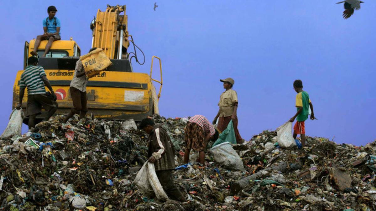 Ragpickers to get ID cards, social benefits The Hindu