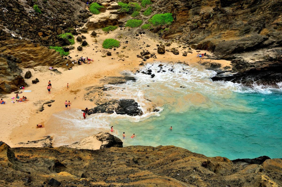 A visit to Hawaii The Hindu