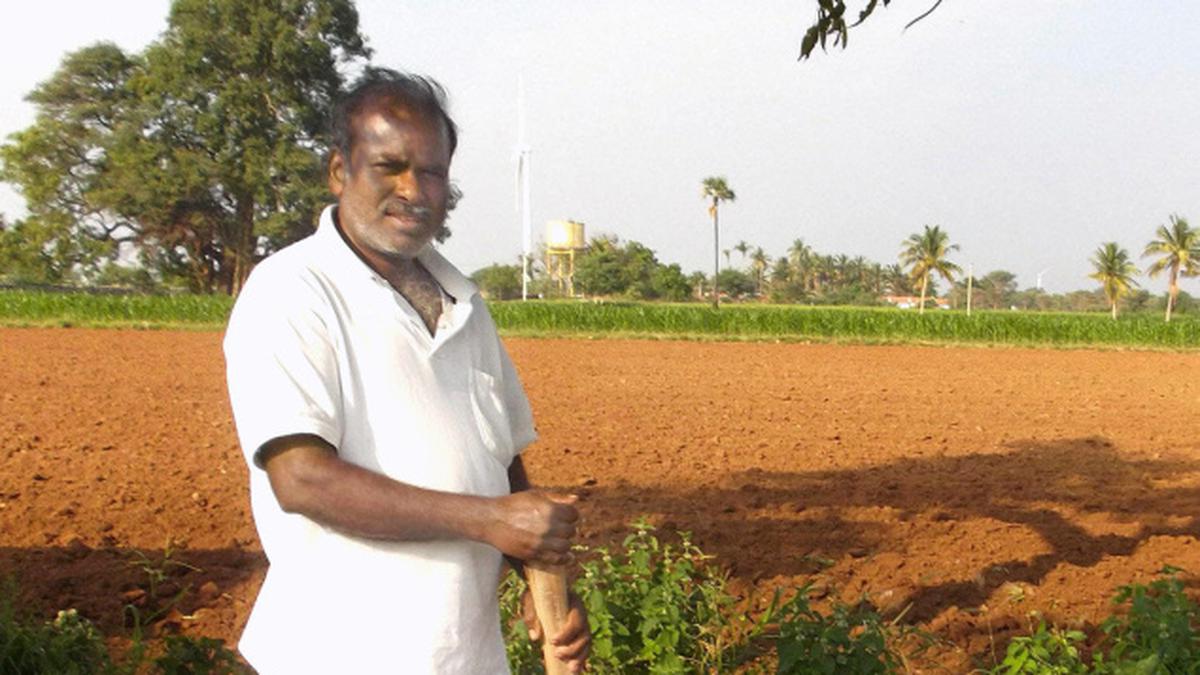 Water conservation methods come to a small farmer’s rescue - The Hindu