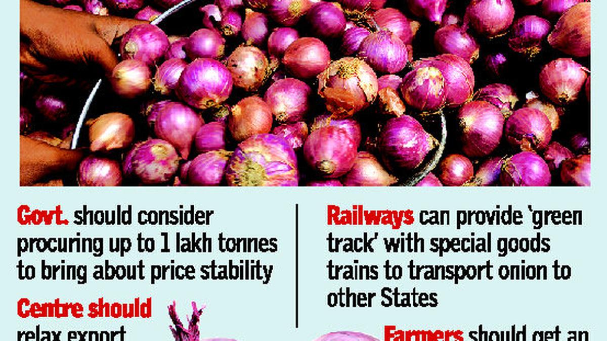 Onion price crash State urged to provide MSP The Hindu